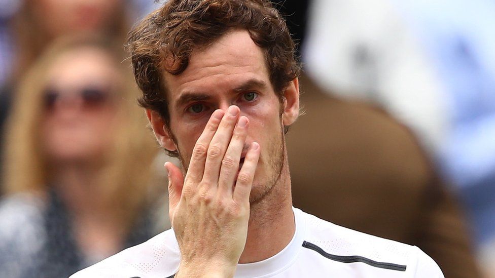 andy murray