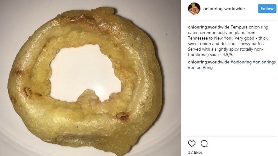 Image result for lorde ig onion rings