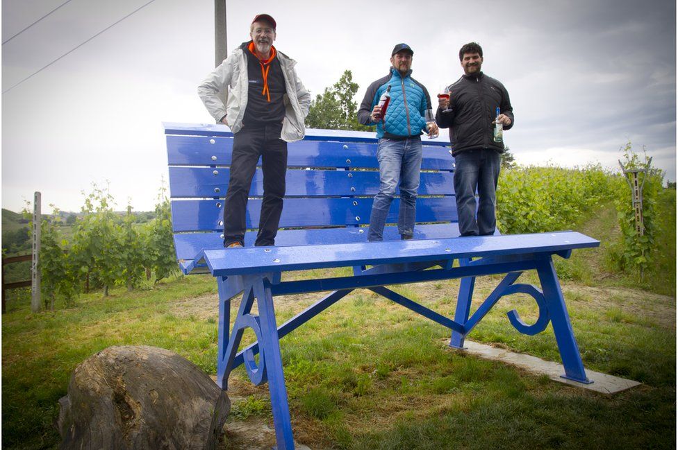 The Big Blue Bench is located in the Gallo family vineyard