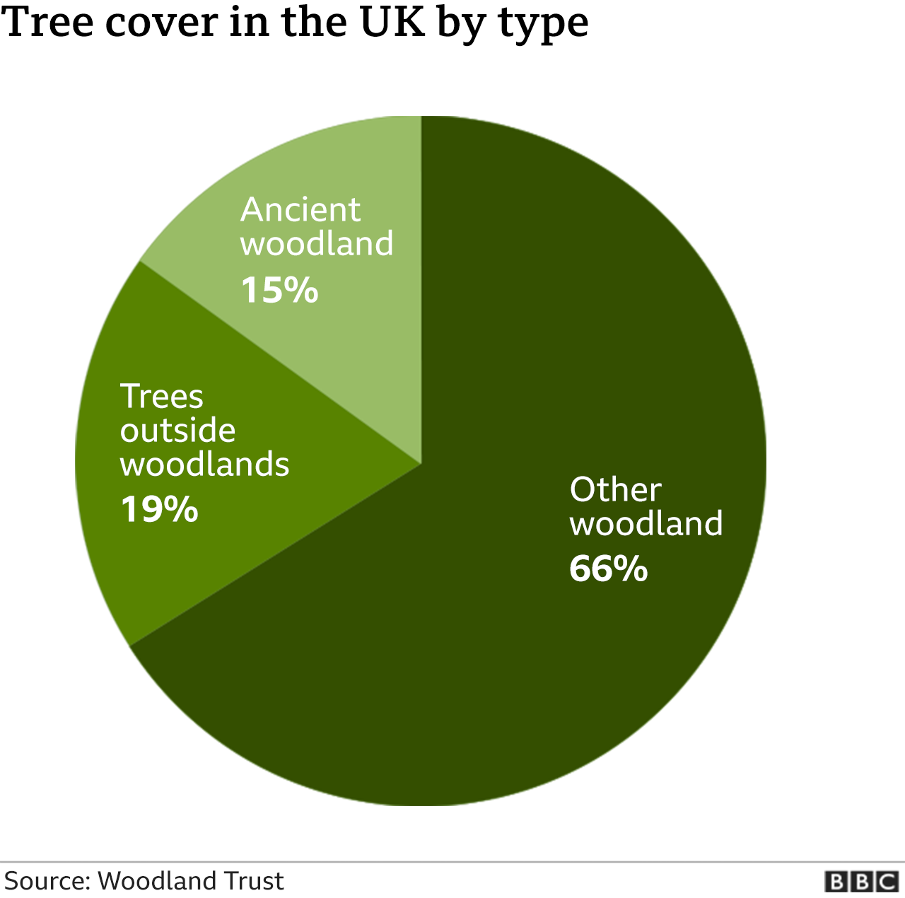 UK Woodlands At Crisis Point Amid Wildlife Decline BBC News