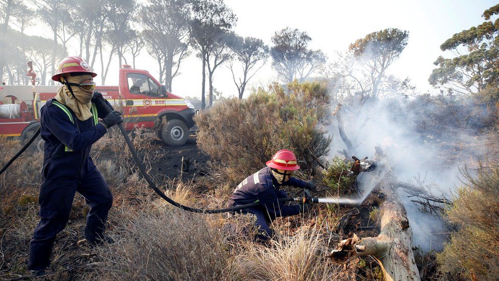 கேப் டவுனுக்கு அருகிலான அதே காட்டுத்தீ பரவாமல் தடுக்கும் தீயணைப்பு படையினர்