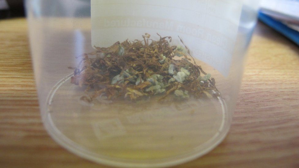 sample of spice