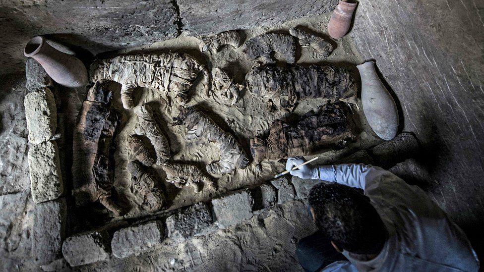 Excavation at Saqqara, showing mummified cats