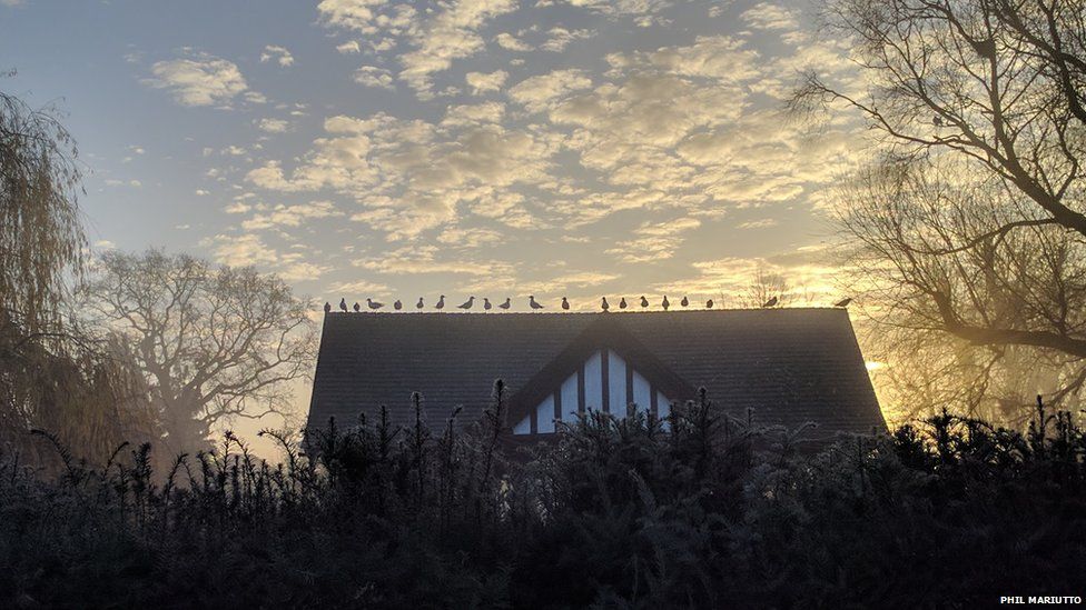 Misty sunrise by a period house set in parkland. Birds sit on the roof of the house