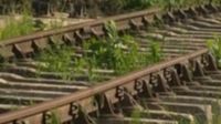 Wisbech line