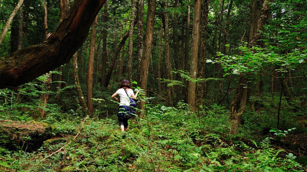 Aokigahara, el bosque del suicidio de Japón que inspiró una película