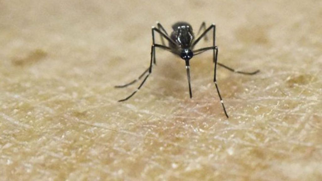 Virus Zika lebih "mengerikan" dari perkiraan semula - BBC Indonesia