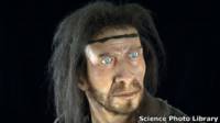 Homo sapiens