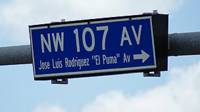 Avenida de El Doral