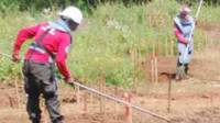 Removing land mines in Sri Lanka