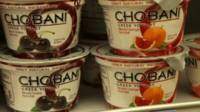 yogurt