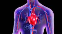 Corazón y vasos