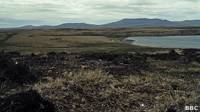 Malvinas/Falkland