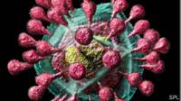 Coronavirus
