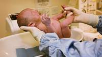bayi