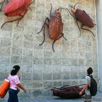 Dicen los cubanos que cuando los dirigentes incapaces son destituidos "se caen para arriba". (Foto: Raquel Pérez)
