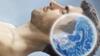 Cerebro humano