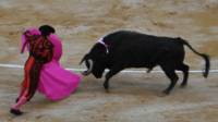 Bullfight, BBC