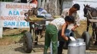 Producción de leche