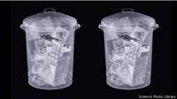 Basura