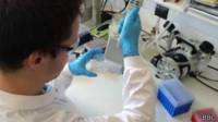 Laboratorio