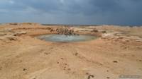 Chigüiros sedientos se agolpan en una poza de los llanos de Casanare, Colombia.