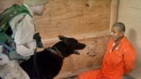 abu ghraib
