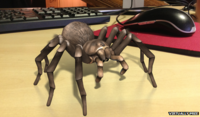 Araña