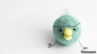 Gafas pollos