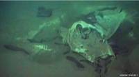 Cementerio submarino