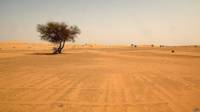 Desierto del Sahara en el sur de Argelia