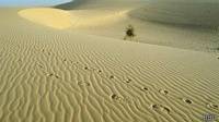 Desierto del Sahara