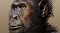 Reconstrucción del rostro de un Paranthropus boisei