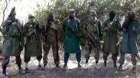http://ichef.bbci.co.uk/news/ws/200/amz/worldservice/live/assets/images/2014/06/10/140610040631_boko_haram_nigeria_624x351_afp_nocredit.jpg