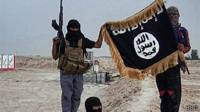 Militantes de ISIS