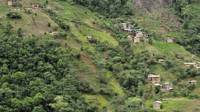 Plantación de coca en Bolivia