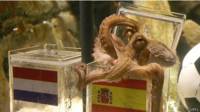 Pulpo Paul