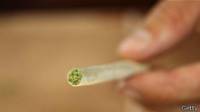Mariguana