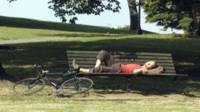 A person sleeping on a park bench