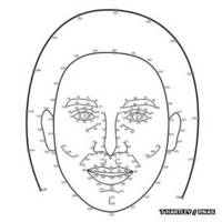 Números faciales del estudio de Hartley