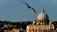 gaviota volando con el Vaticano de fondo
