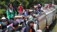 Inigrantes indocumentados a bordo de "La bestia" mientras cruzan México camino a EE.UU.