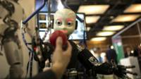 Robot iCub