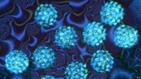 Virus del Papiloma Humano.
