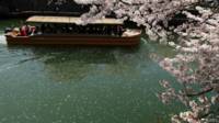 Jepang