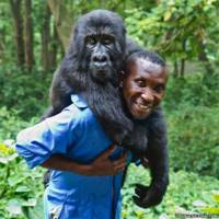 Foto: Virunga National Park