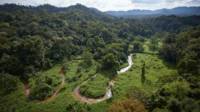 Hallazgo en Honduras
