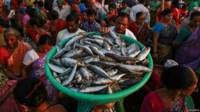 150401203052_sp_fish_624x351_reuters.jpg