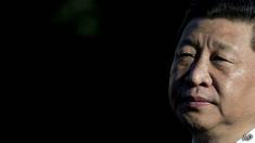 Xi Jinping