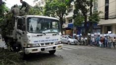 Công nhân Công viên cây xanh Hà Nội tiếp tục chặt cây trong khi người dân mang biển phản đổi